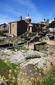 Roma - Fori Imperiali - 06